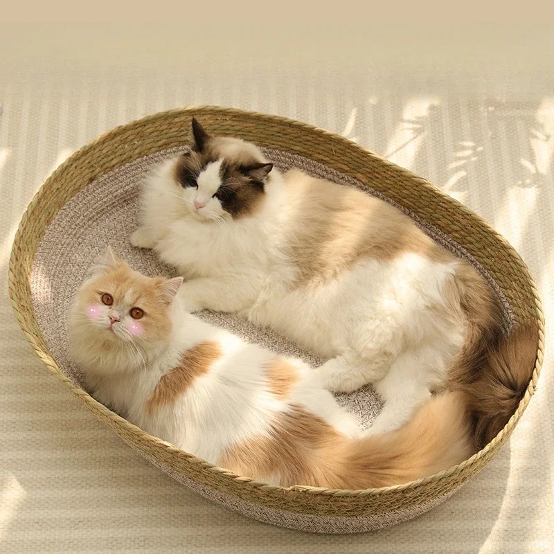 Panier en osier pour chat dans un intérieur