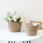 Panier jardinière en osier Osellia Mini à Large – Osier – Cache-pot décoratif – Image 20