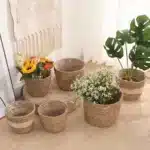 Panier jardinière en osier Osellia Mini à Large – Osier – Cache-pot décoratif – Image 16