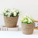 Panier jardinière en osier Osellia Mini à Large – Osier – Cache-pot décoratif – Image 30