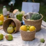 Panier jardinière en osier Osellia Mini à Large – Osier – Cache-pot décoratif – Image 31