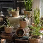 Panier jardinière en osier Osellia Mini à Large – Osier – Cache-pot décoratif – Image 12