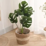 Panier jardinière en osier Osellia Mini à Large – Osier – Cache-pot décoratif – Image 5