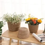 Panier jardinière en osier Osellia Mini à Large – Osier – Cache-pot décoratif – Image 11