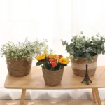 Panier jardinière en osier Osellia Mini à Large – Osier – Cache-pot décoratif – Image 23