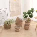 Panier jardinière en osier Osellia Mini à Large – Osier – Cache-pot décoratif – Image 26